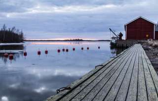 Mansikkasaari