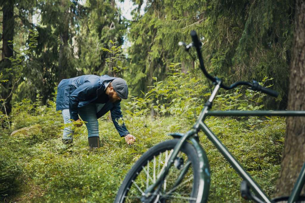 Man in the forest