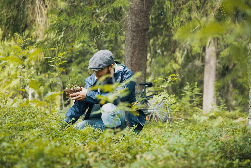 Man in the forest