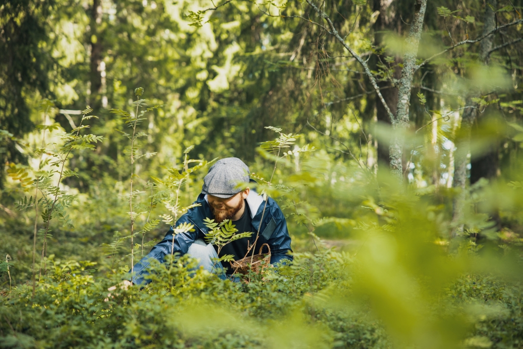 En person plockar något i skogen, omgiven av växtlighet.