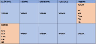 VAMIAS SCHEMA KOMBISTUDIER PERIODVIS