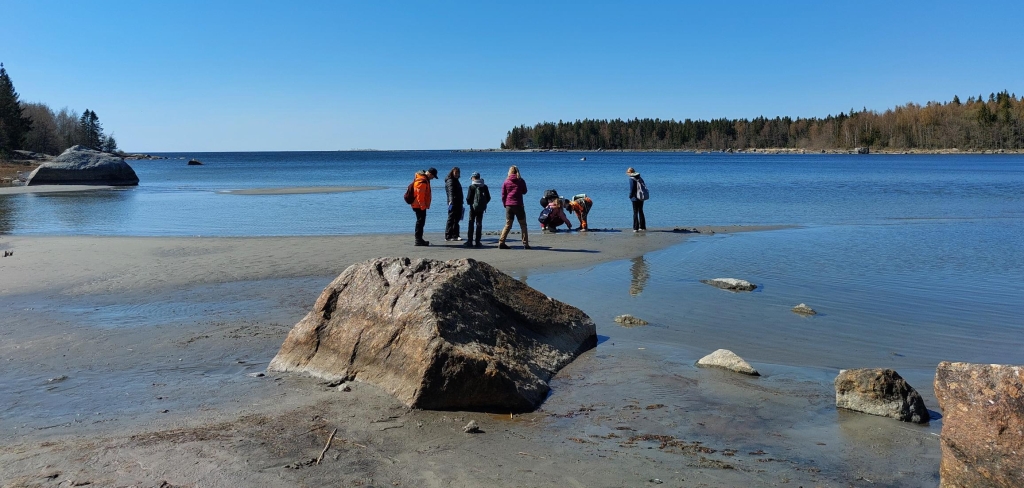 Barn på en strand