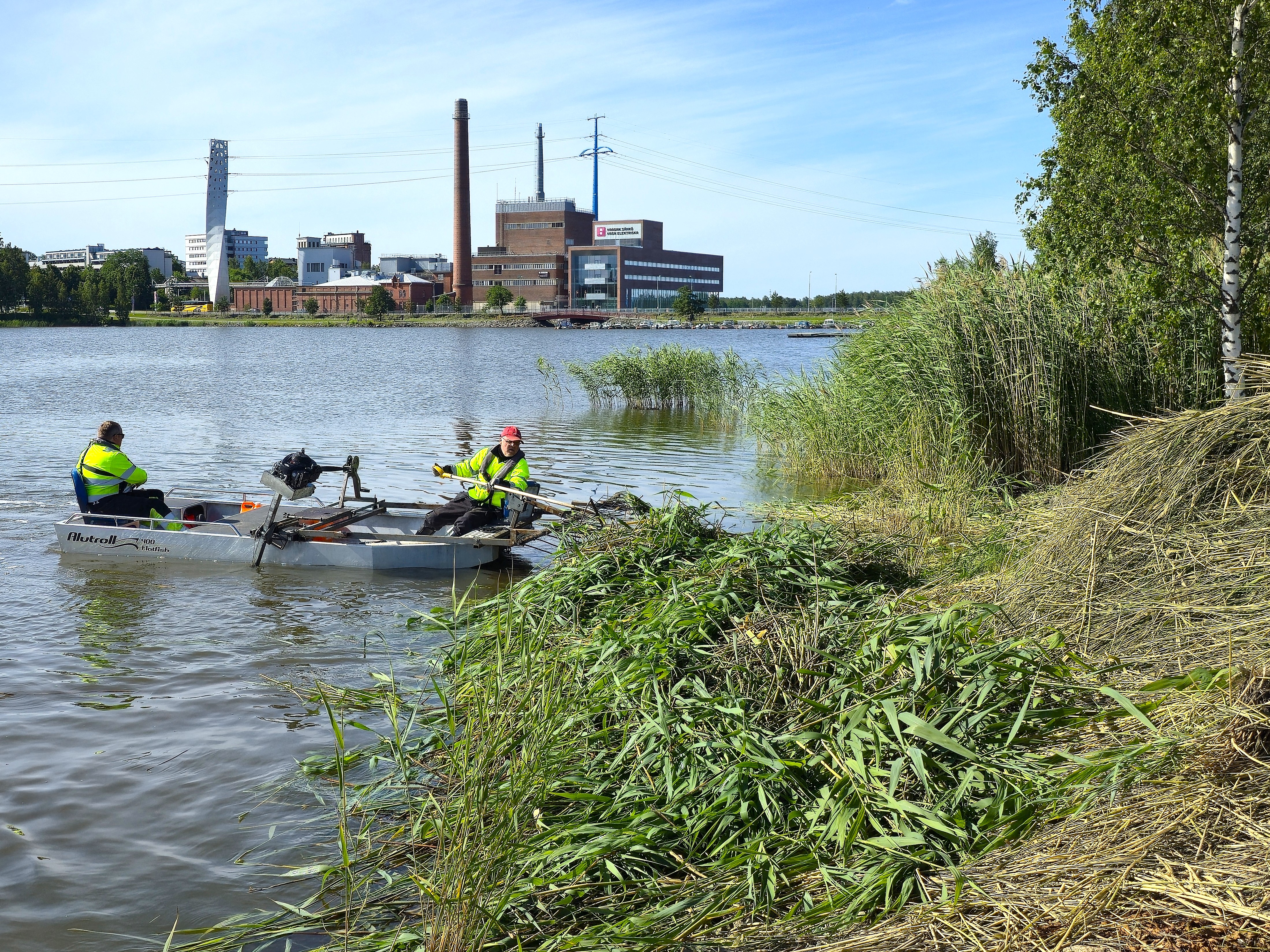 Två personer i färggranna flytvästar i en liten båt. De samlar vattenväxter på havet. I bakgrunden syns industribyggnader och en klar himmel.