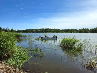 Två personer i en båt på en lugn havsvik, omgivna av grönskande strandväxter.
