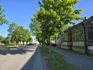 Katu puistomaisessa ympäristössä, jota reunustavat vihreät puut ja oikealla puolella vanha rakennus.