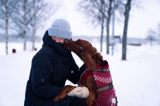 En person hukar sig i ett snöigt landskap med en hund, som har en röd tröja på sig.