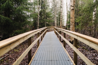 Metalliritiläpolku kulkee metsän läpi, ympärillä on kuusia ja koivuja.