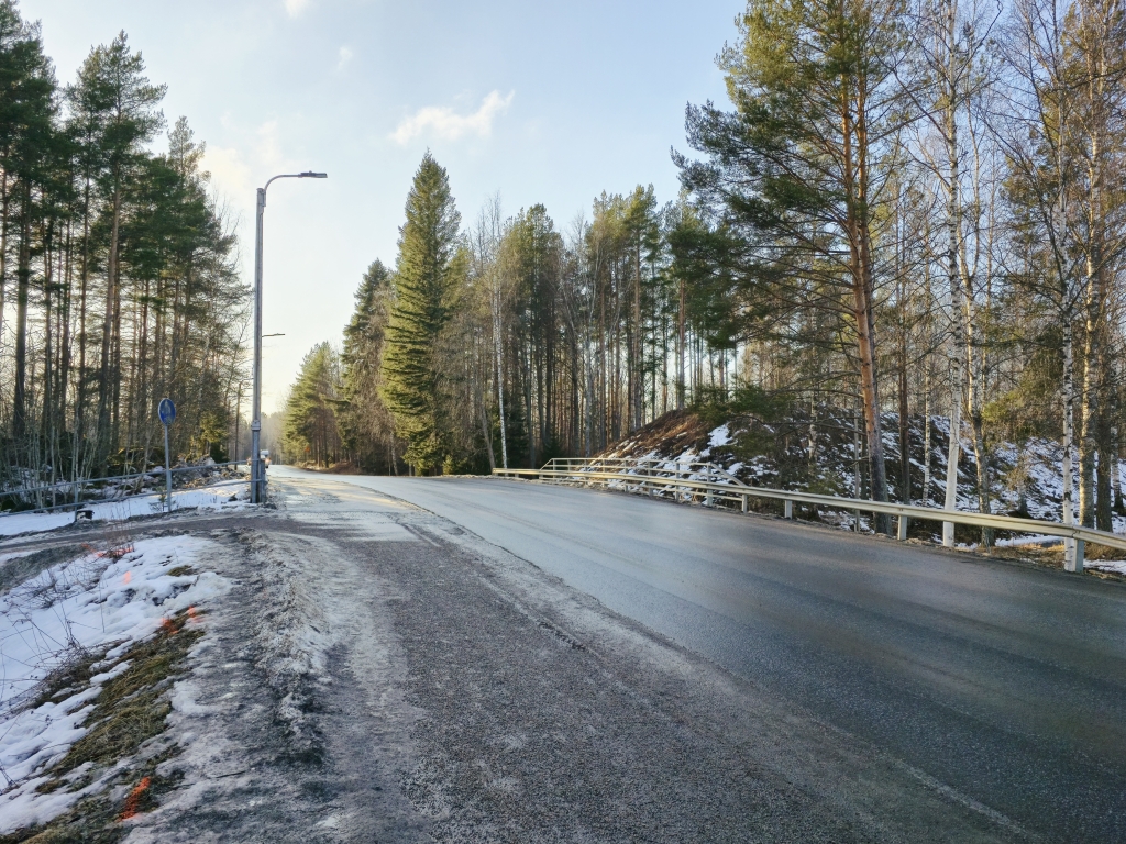 Luminen tie, jota reunustavat männyt ja katulamput. Taivas on kirkas ja aurinkoinen.