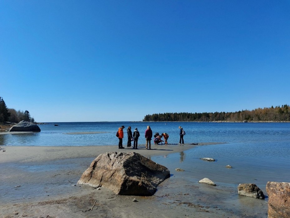 Nuorukaiset rannalla