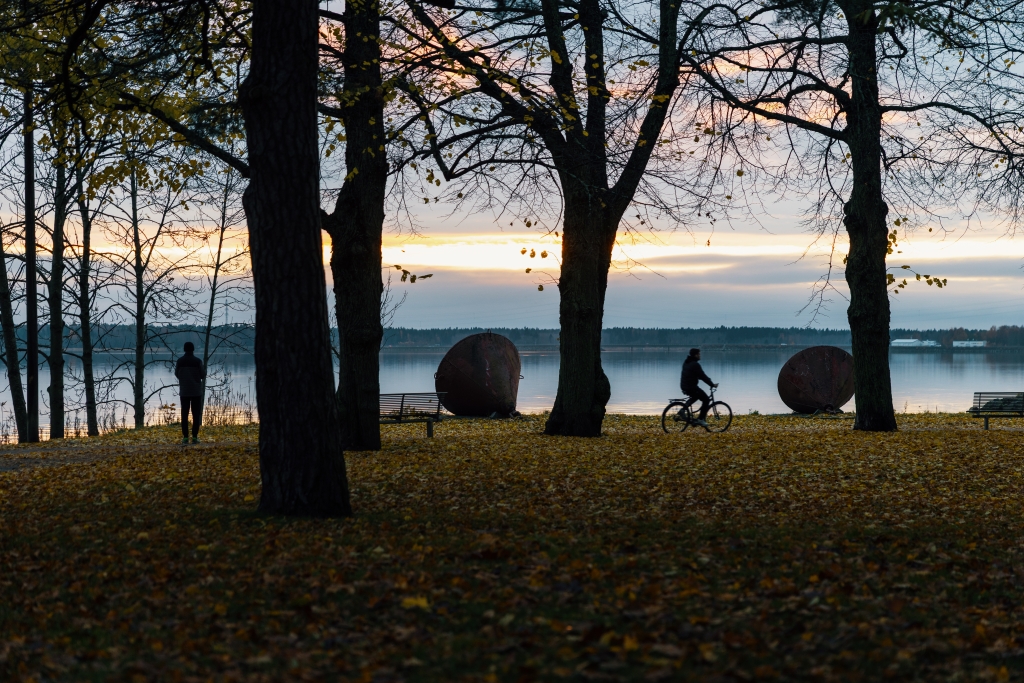 Syksyinen puisto meren rannalla. Pyöräilijä ja kävelijä puiden alla auringonlaskussa.