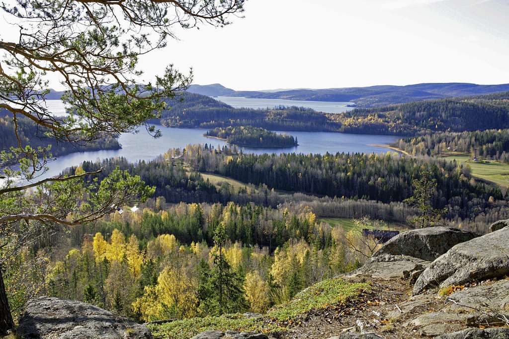 Höstfärger på Höga Kusten, som skapar ett gemensamt världsarv med Kvarkens skärgård.