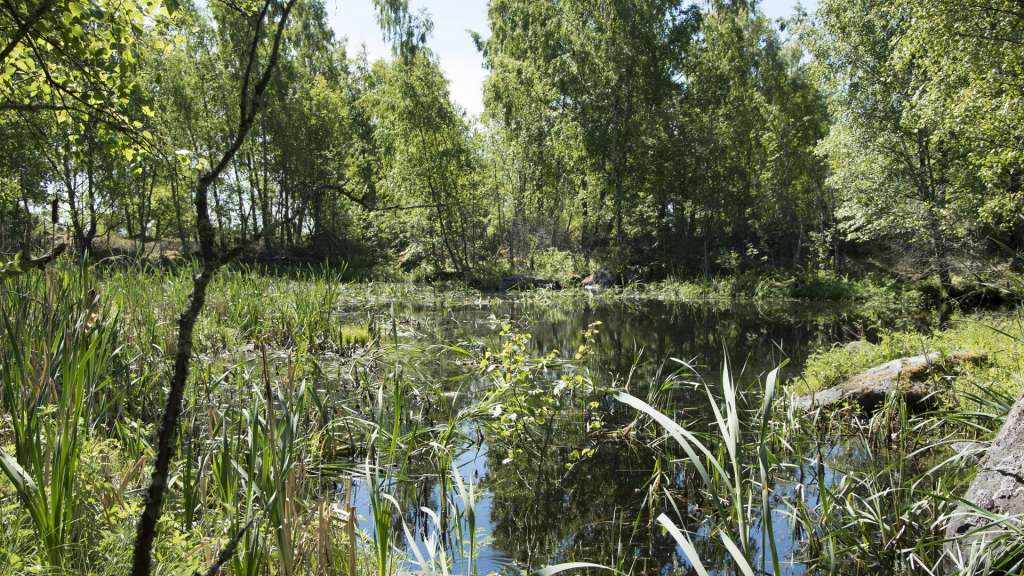 Flad and glo lakes are like lagoons.