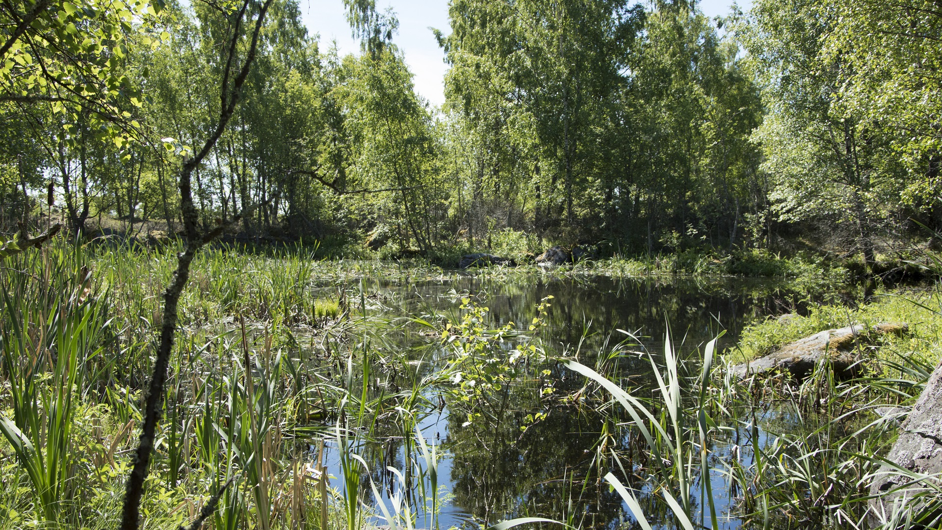 Flads ang gloes are beautiful and important lagoons in the Kvarken Archipelago. 