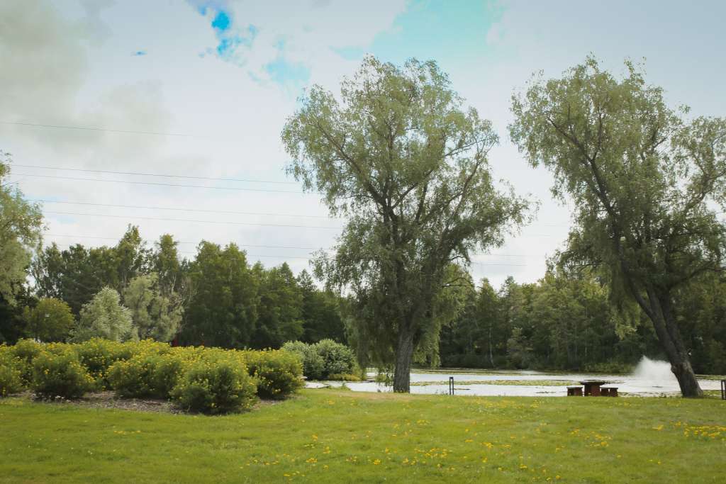 Tiklaspuisto