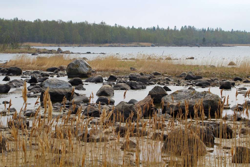 Kiviä ja kasvillisuusvyöhykkeitä Björkön sisäsaaristossa.