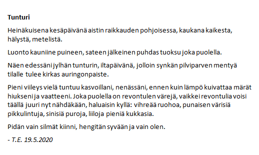 T.E. - Tunturi (kirjoitelma)