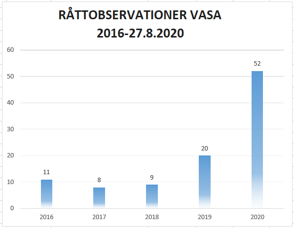 RÅTTOBSERVATIONER VASA 2016-27.8.2020. 2016: 11, 2017: 8, 2018: 9, 2019: 20, 2020: 52.