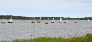 Segelbåtar