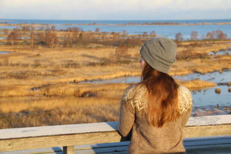 A person is watching the moraine landscape from the observation tower of Saltkaret in Svedjehamn.