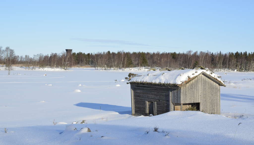 Vinterlandskap med lada och snö
