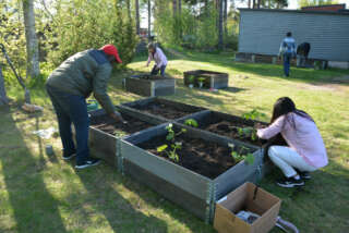Five inhabitants planting crops in the cultivation box garden.
