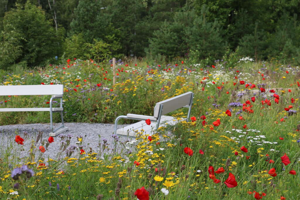 A flower meadow in Vaskiluoto.