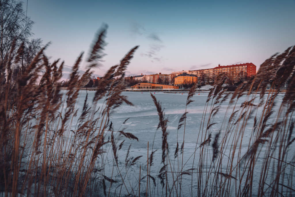 Fiskstrand på vinter