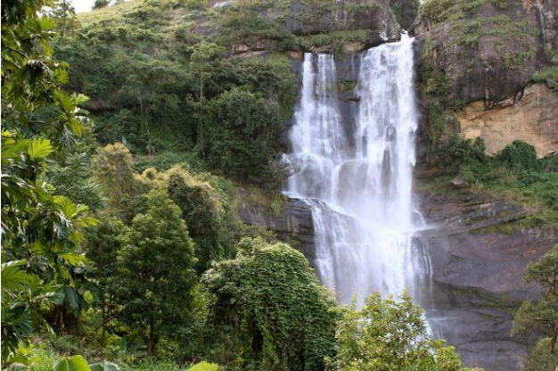 A waterfall in the jungle.