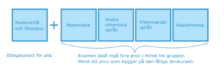 Bilden illustrerar hur strukturen för studentexamen ser ut. Bilden visar 5 rutor för olika examensämnen. Det obligatoriska ämnet modersmål och litterartur är åtskilt från de övriga fyra. De fyra övriga rutorna har rubrikerna matematik, andra inhemska språk, främmande språk och realämnena.